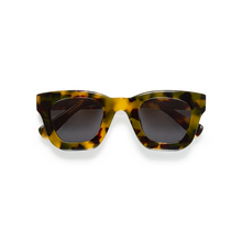 Roadcase | Leopard Tortoise | Smoke Lenses
