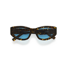 Tempo | Spark Tortoise | Sky Lenses