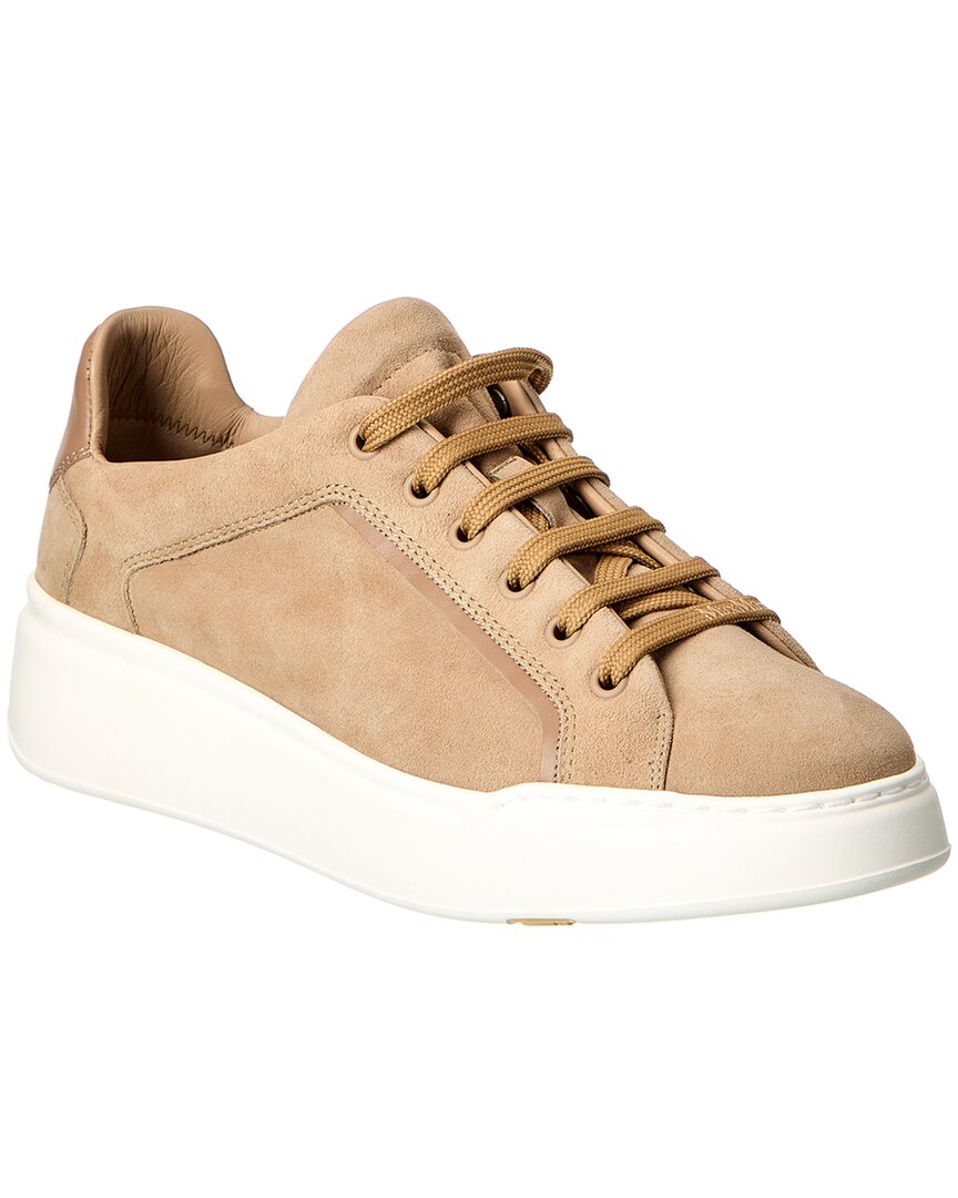 Max Mara | Womens | Super Suede Sneaker | Beige