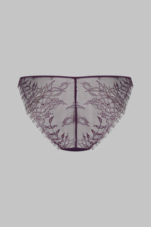 Panty - Villa Satine - Purple | Purple