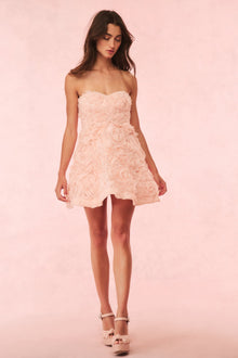 Bellamina Organza Rose Mini Dress | Pink