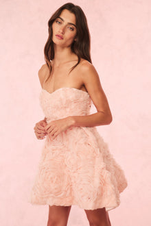 Bellamina Organza Rose Mini Dress | Pink