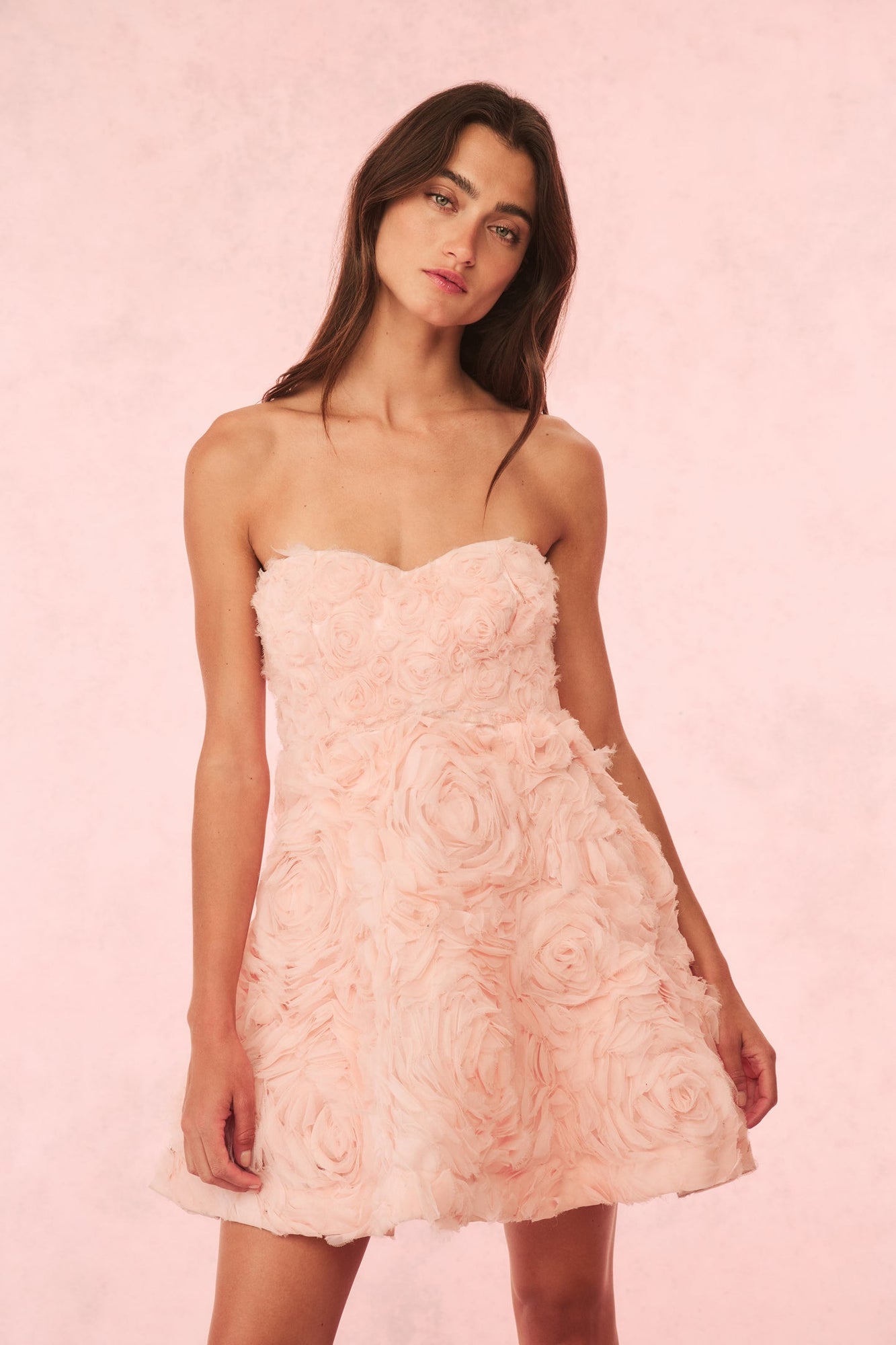 Bellamina Organza Rose Mini Dress | Pink