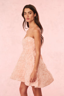 Bellamina Organza Rose Mini Dress | Pink
