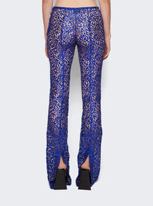 Women | Coperni | Lace Flared Trousers | Royal Blue