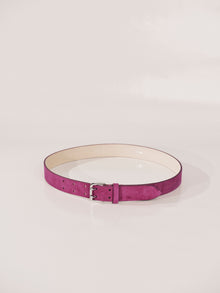 Mini Hutch Suede Belt | Magenta & Silver