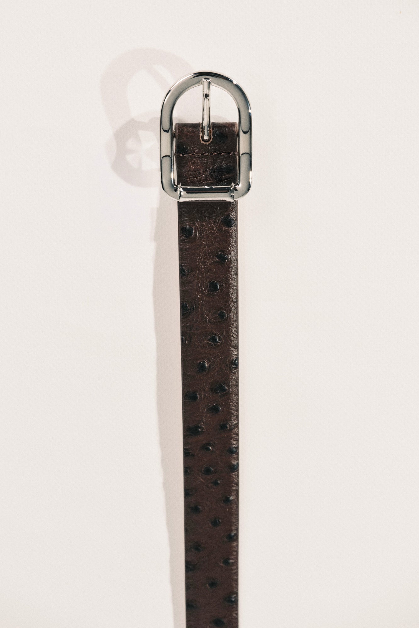 Mija Belt | Brown Ostrich & Silver