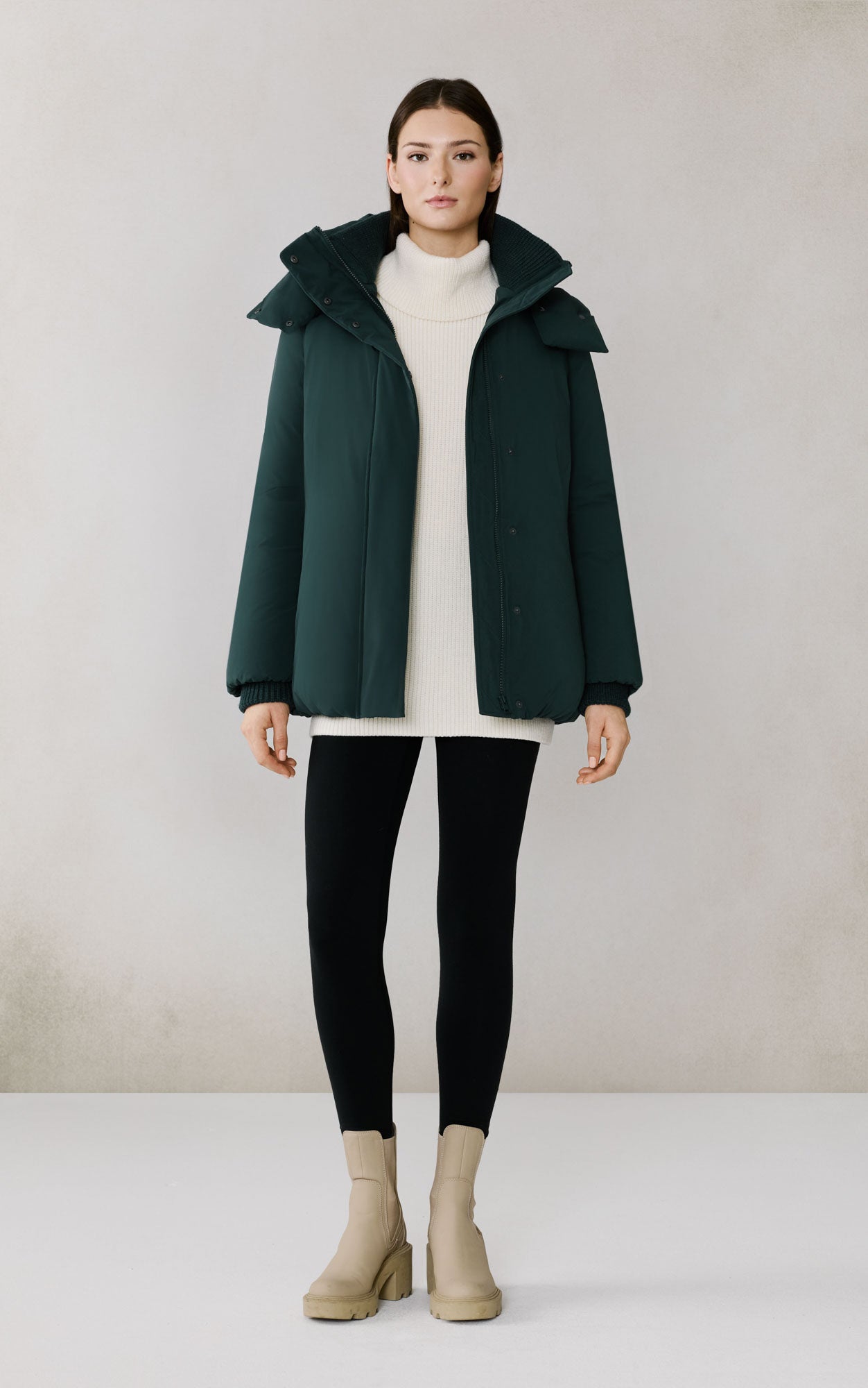 Midnight Forest
