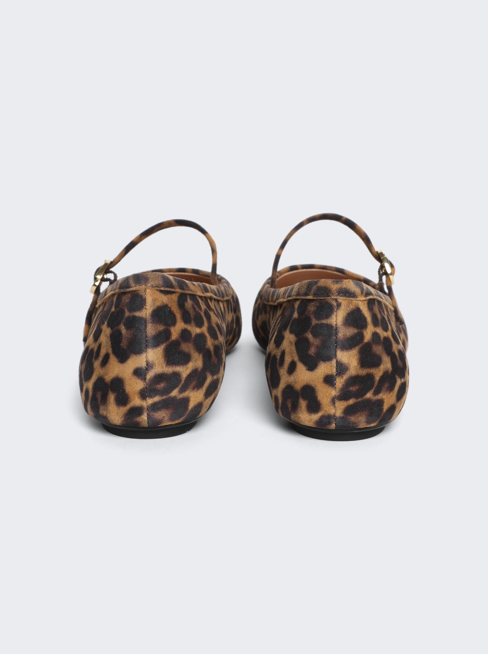 Women | Gianvito Rossi | Carla Camoscio Flat | Almond Leopard Print