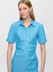 Lou Fitted Shirt Dress | Blue Stripe