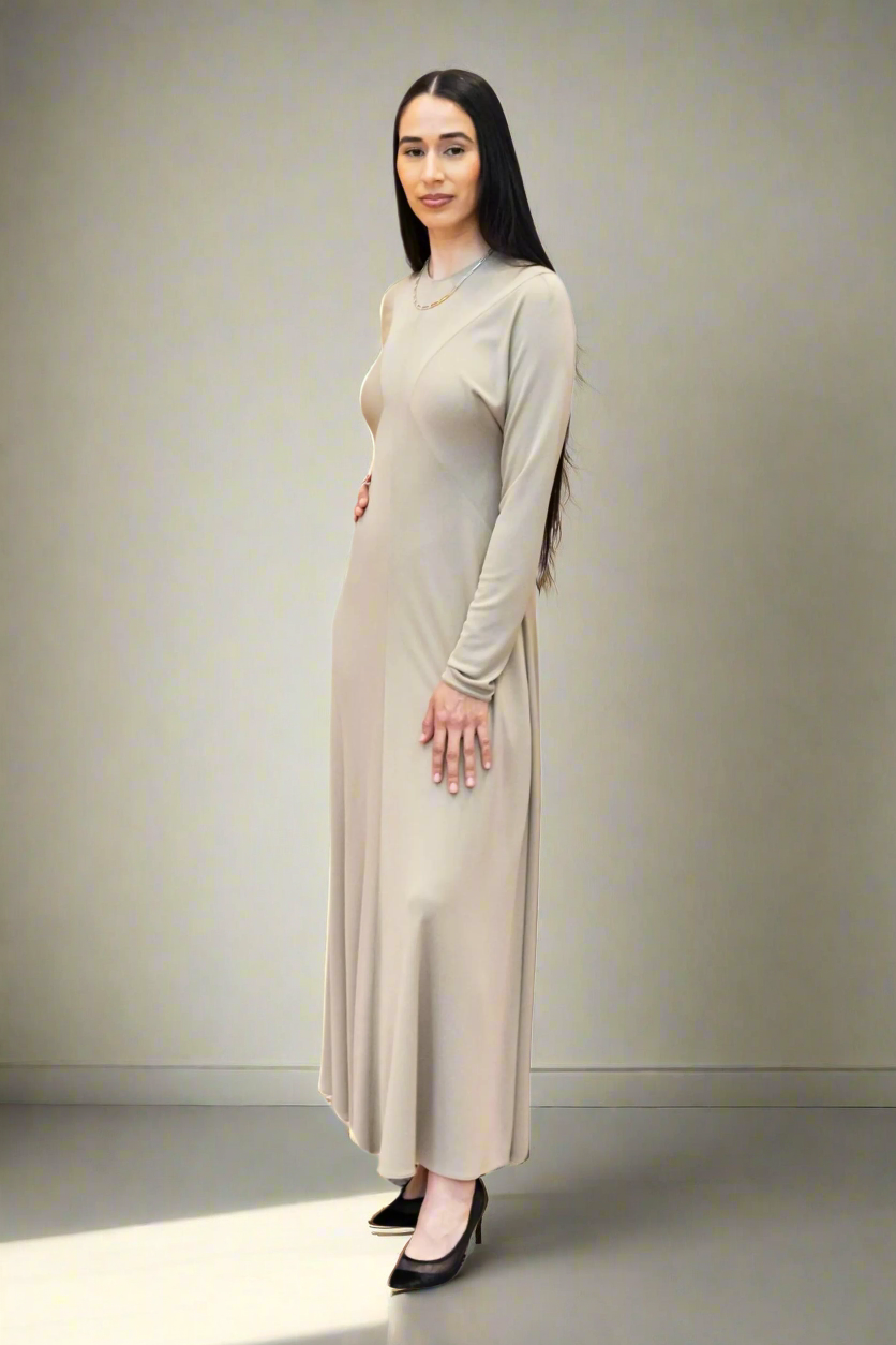 THE ROW Venusia Maxi Dress