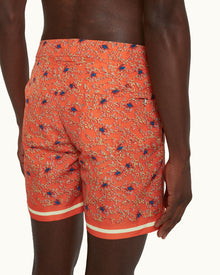 Men | Bulldog Swim Boxer | Havana Sun