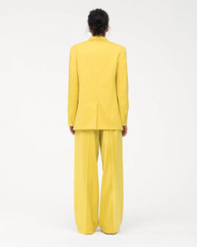 color:bright-chartreuse