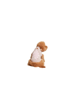 Pet | Cozychic Snake Sweater | Dusty Mauve Multi