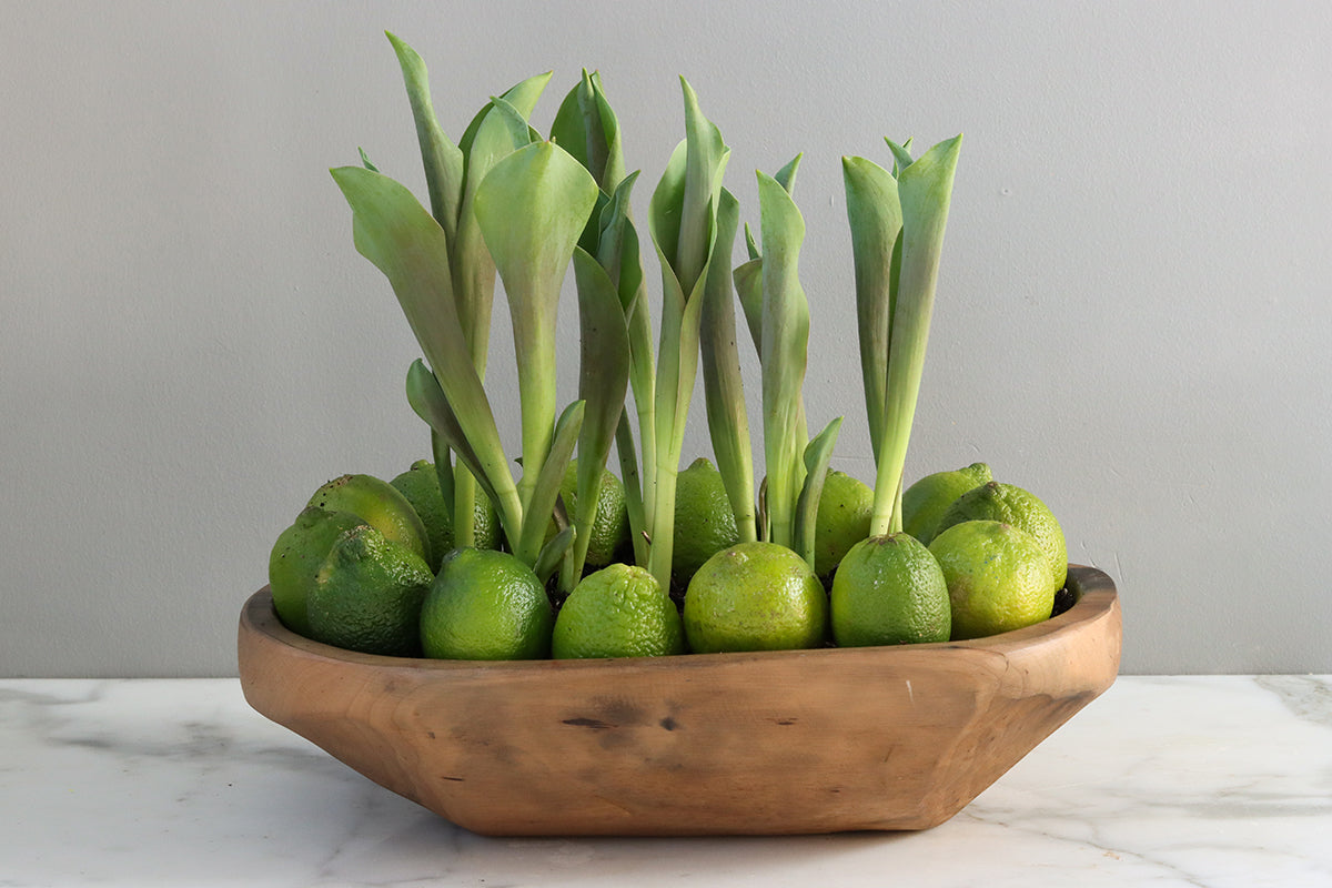 Harvest Bowl | Natural | Small